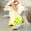 DULTON ( ダルトン ) TENNIS BALL テニスボール | 犬 | 愛犬 | おもちゃ | ボール | ストレス発散 | 遊び | 犬用テニスボール | 小型犬 | 中型犬 | 大型犬 | 丈夫 | 耐久性 | ドッグラン | お散歩 | 公園 | お出かけ | アクティブ | Y-0846 | だるとん
