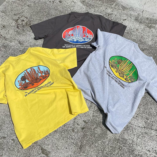 DULTON ( ダルトン ) BOTANY T-SHIRT SAGUARO MUSTARD ダルトン Tシャツ スワロー | マスタード | 半袖 | シャツ | Tシャツ | バックプリント | コットン | アウトドア | キャンプ | 夏服 | T23-0653 | だるとん
