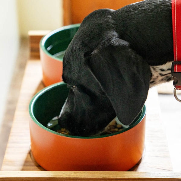 DULTON ( ダルトン ) DOUBLE WALL DOG BOWL ダブル ウォール ドッグ ボウル | ズレにくい | ペット用品 | 水 | においがつきにくい | 汚れがつきにくい | エナメル | マット | シンプル | 餌入れ | ドッグフード入れ | 愛犬 | 犬用
