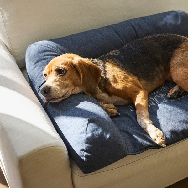 MANDARINE BROTHERS ( マンダリンブラザーズ ) HEAD REST BED | ベッド | 洗える | 犬用 | ペット用 | 寝具 | シンプル | あご乗せ | 段差無し | シニア | 寝心地抜群 | 小型犬 | まんだりんぶらざーず