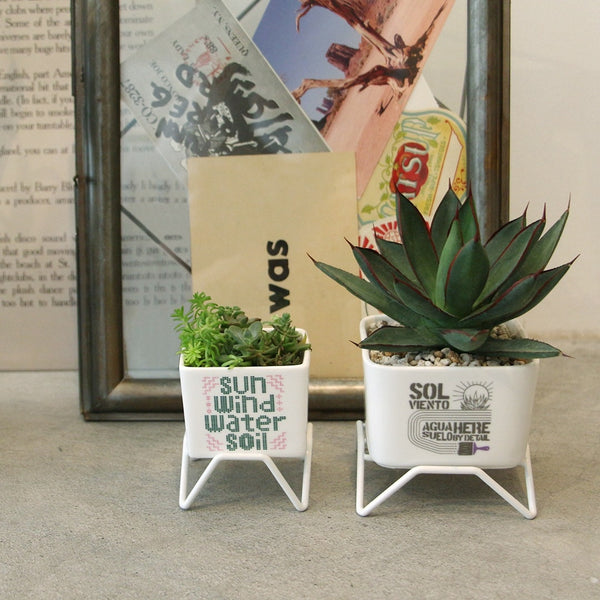 DETAIL ( ディテール ) Plant Pot w/stand 60 プラントポット w スタンド 60 | 小さな植木鉢 | 植木鉢 | 小さい | 小さめ | プランター | 磁器 | コンパクト | オシャレ | H008660 | でぃてーる | グリーン | レッド