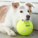 DULTON ( ダルトン ) TENNIS BALL テニスボール | 犬 | 愛犬 | おもちゃ | ボール | ストレス発散 | 遊び | 犬用テニスボール | 小型犬 | 中型犬 | 大型犬 | 丈夫 | 耐久性 | ドッグラン | お散歩 | 公園 | お出かけ | アクティブ | Y-0846 | だるとん