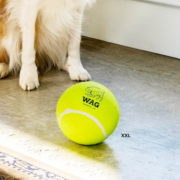 DULTON ( ダルトン ) TENNIS BALL テニスボール | 犬 | 愛犬 | おもちゃ | ボール | ストレス発散 | 遊び | 犬用テニスボール | 小型犬 | 中型犬 | 大型犬 | 丈夫 | 耐久性 | ドッグラン | お散歩 | 公園 | お出かけ | アクティブ | Y-0846 | だるとん