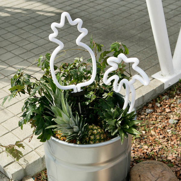 DULTON ( ダルトン ) ソーラー ネオン ライト | ソーラーパネル付 | 可愛い | 恐竜 | オウム | ネオンサイン | 個性 | ドライガーデン | NB-0543 | だるとん | ソーラー | 光る | 植木