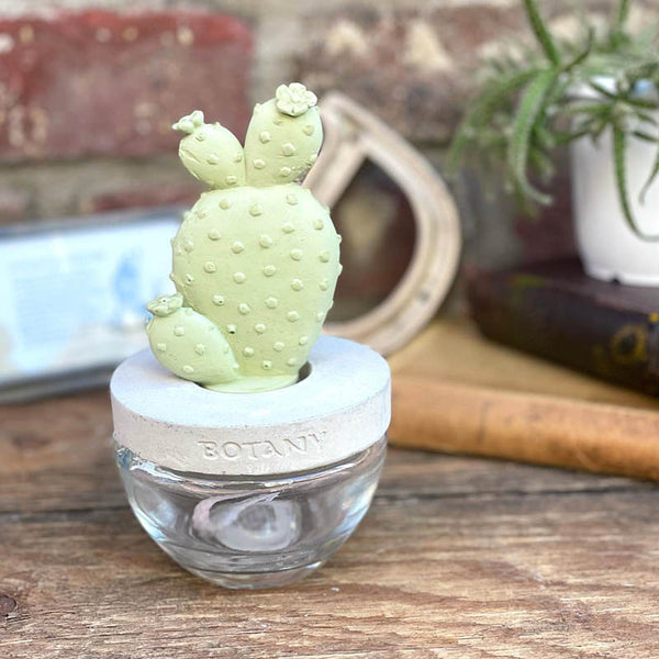 DULTON ( ダルトン ) CACTUS FRAGRANCE DIFFUSER カクタス フレグランス ディフューザー | 芳香剤 | サボテン | さぼてん | リビング | バスルーム | 書斎 | インテリア | プレゼント | だるとん | G675-824