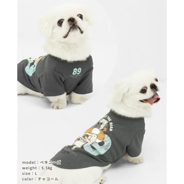 KRIFF MAYER ( クリフメイヤー ) ウェットプロテクトT ( パグ89 ) DOG | D2547823 | 犬 | 服 | ドッグウェア | Tシャツ | オシャレ | 夏 | 接触冷感 | 涼しい | 動きやすい | 着脱しやすい | くりふめいやー