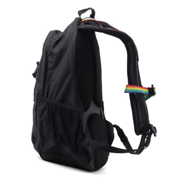 CHUMS ( チャムス ) スプリングデール20 | デイパック | リュック | リュックサック | バックパック | デイパック | 旅行 | 通勤 | 通学 | CH60-4099 | レジャー | アウトドア | 日帰り | トレッキング | 登山 | ちゃむす